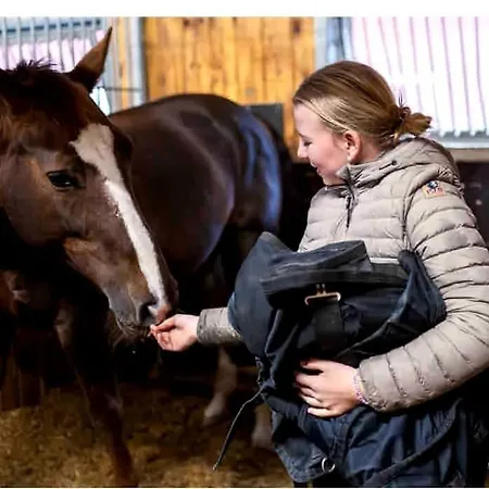 Appartamento To At Our Beautiful Horse Farm! *