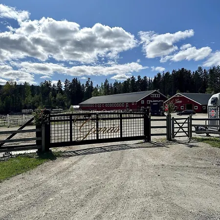 To At Our Beautiful Horse Farm! Leilighet Drammen